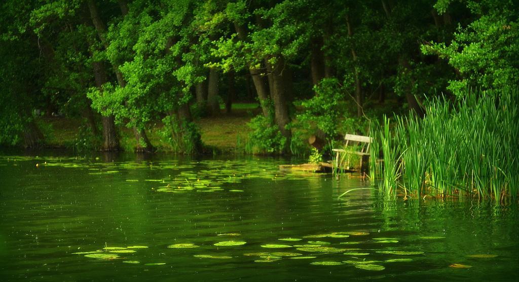 Gospodarstwo Nad Jeziorem Zalom  Экстерьер фото