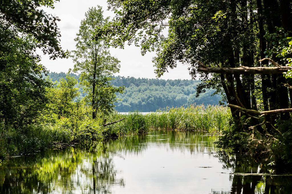 Gospodarstwo Nad Jeziorem Zalom  Экстерьер фото